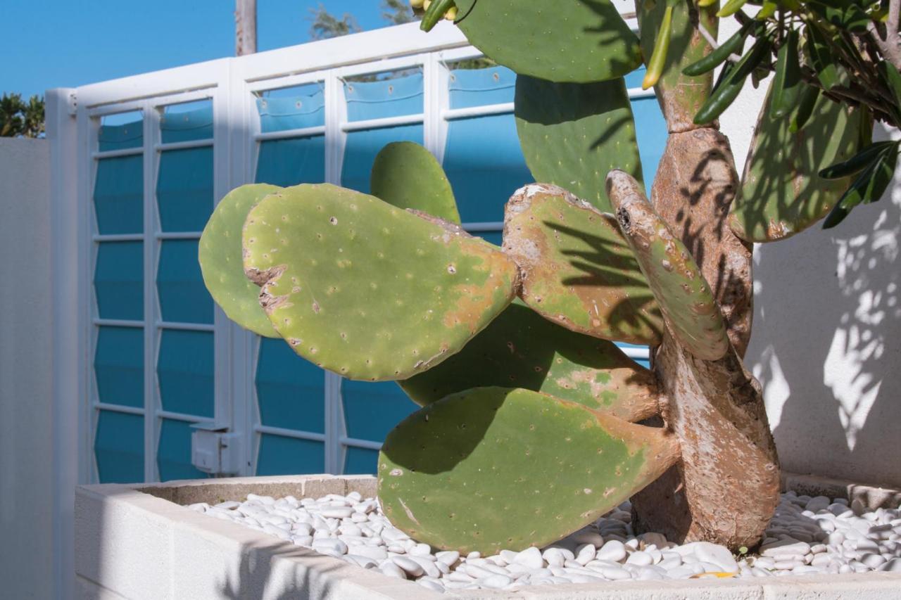 Casa Vacanze Ibiscus Alcamo Marina Dış mekan fotoğraf